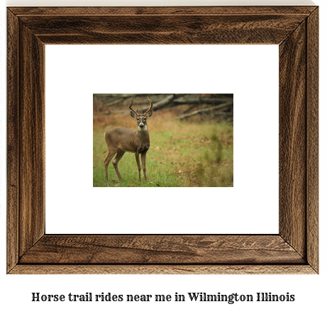 horse trail rides near me in Wilmington, Illinois